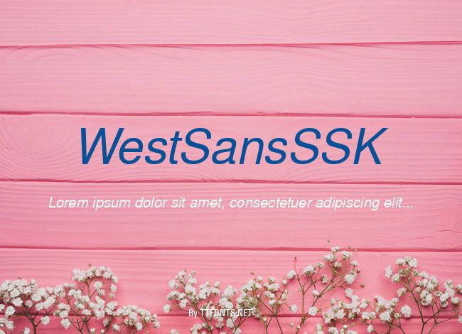WestSansSSK example